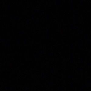 Meet your Posher, Shane